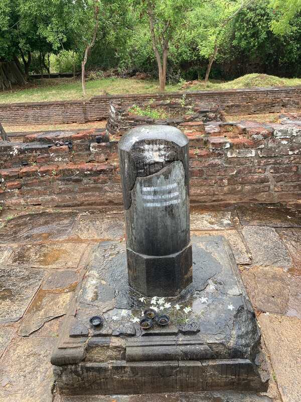 Polonnaruwa 巨根