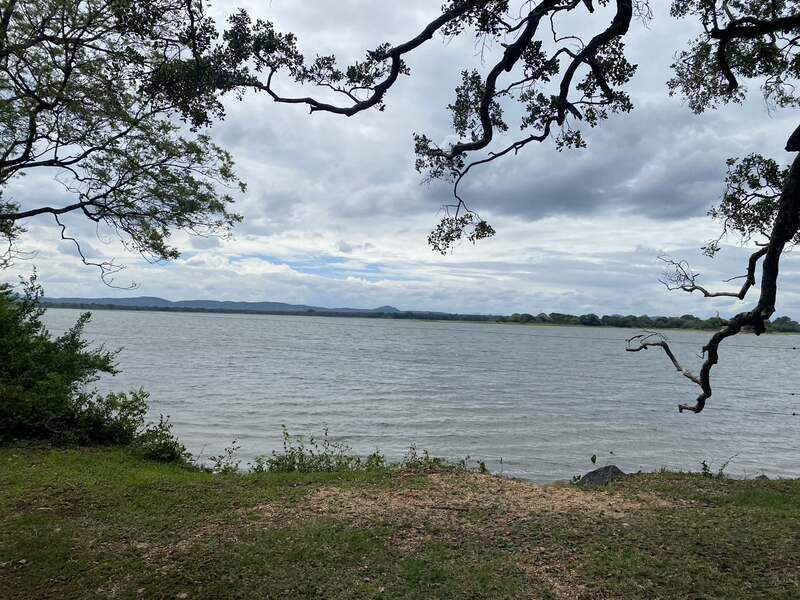 Polonnaruwa 人工湖, 會有大象游過來