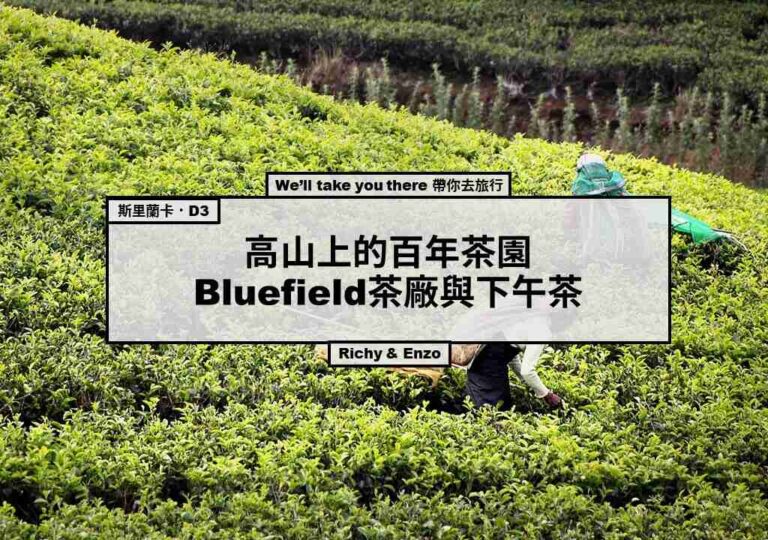 Bluefield百年茶廠