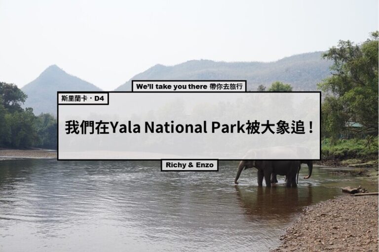 Yala national park