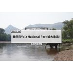 斯里蘭卡．D4-3｜我們在Yala National Park被大象追 !