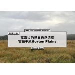 斯里蘭卡．D4 |高海拔的世界自然遺產霍頓平原Horton Plains